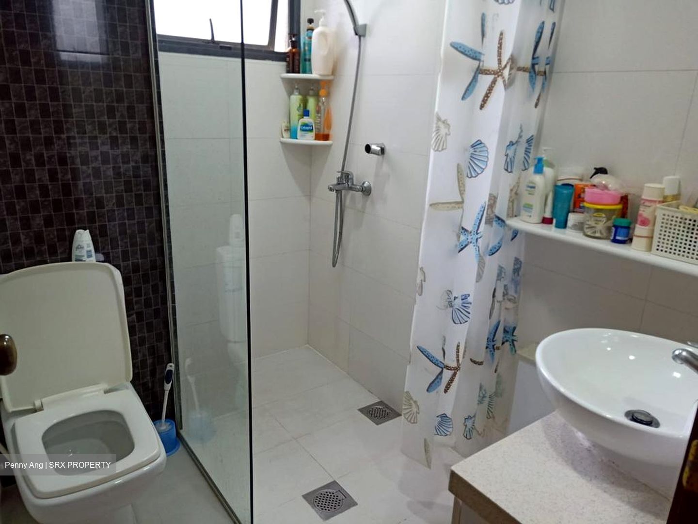 Carissa Park Condominium (D17), Condominium #581233001
